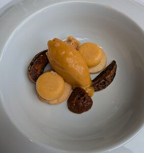 20240907_PXL124425270_Pixel7a-JEB